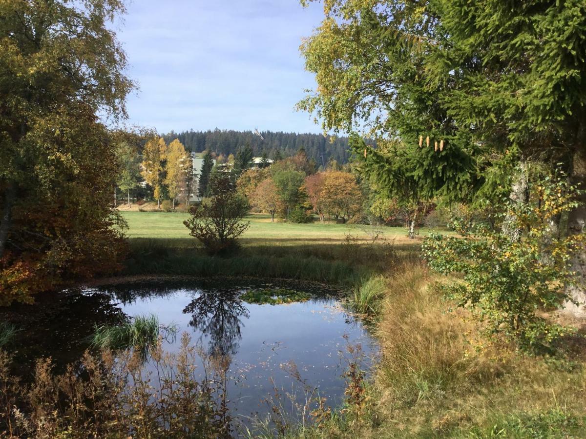1z. 485 Barbo Schwimmbad, Sauna, Fitness Schönwalde