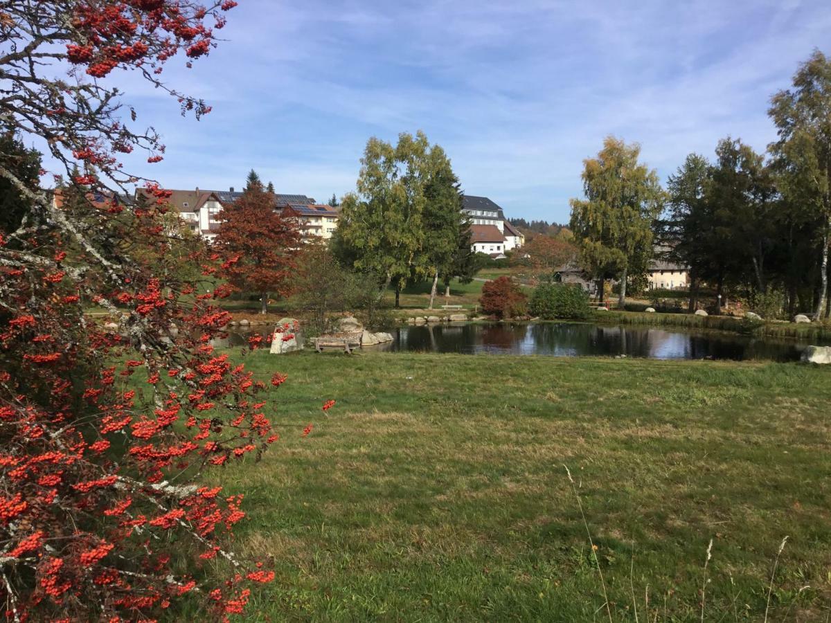1z. 485 Barbo Schwimmbad, Sauna, Fitness Apartment Schönwalde